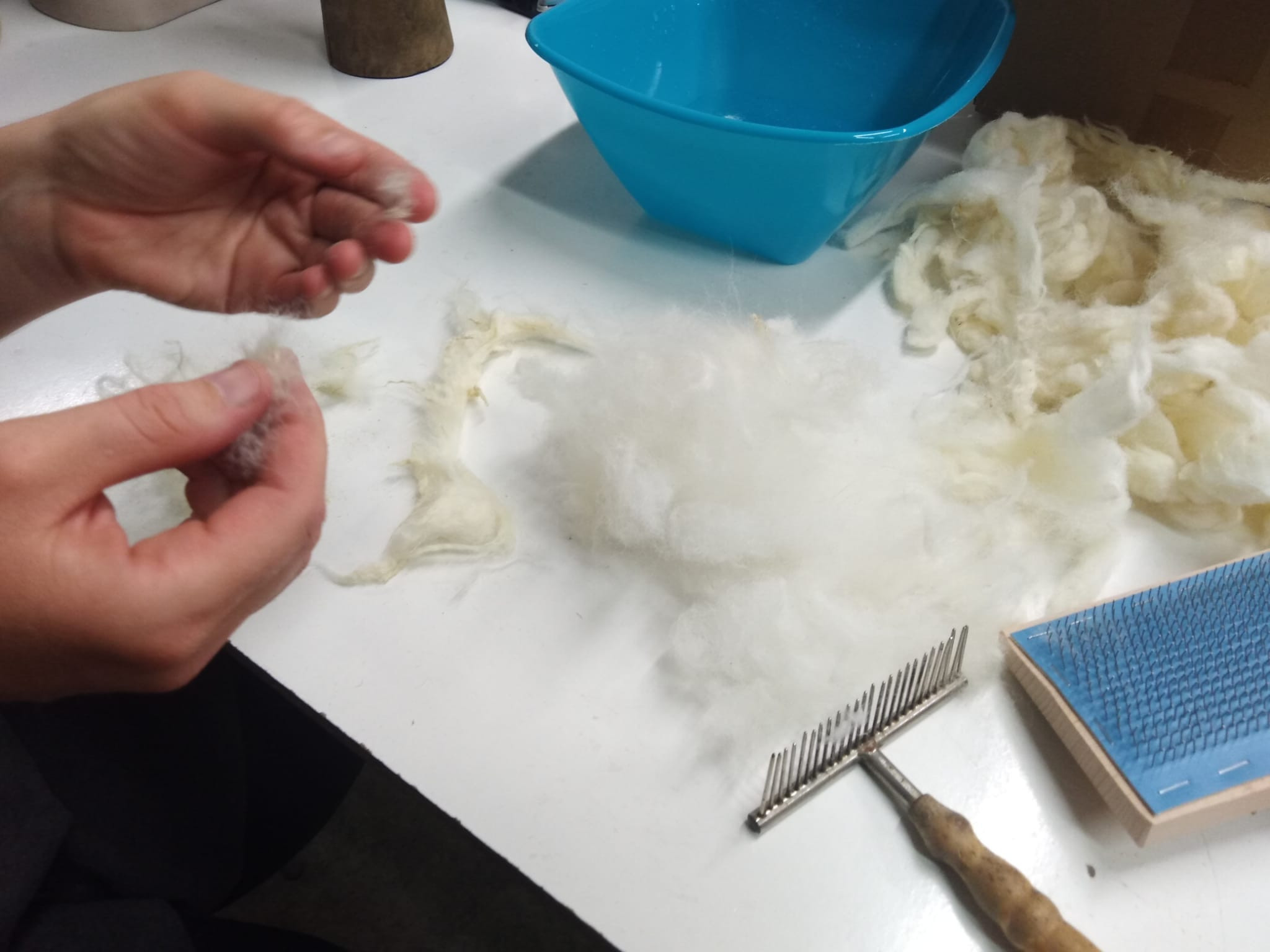 PRANÁ OVČÍ VLNA ČESKÁ 100g