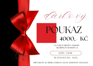 Dárkový poukaz  4000,-Kč